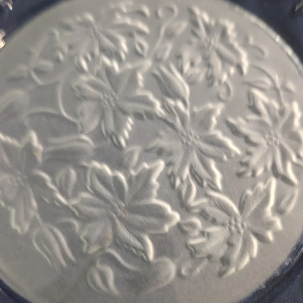 Princess House Poinsettia Frosted Center Clear Rim Glass Dinner Plates Set of 4